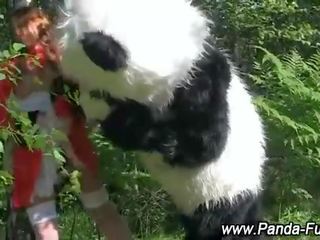 Plush panda fairytale 为 红 骑术 兜帽